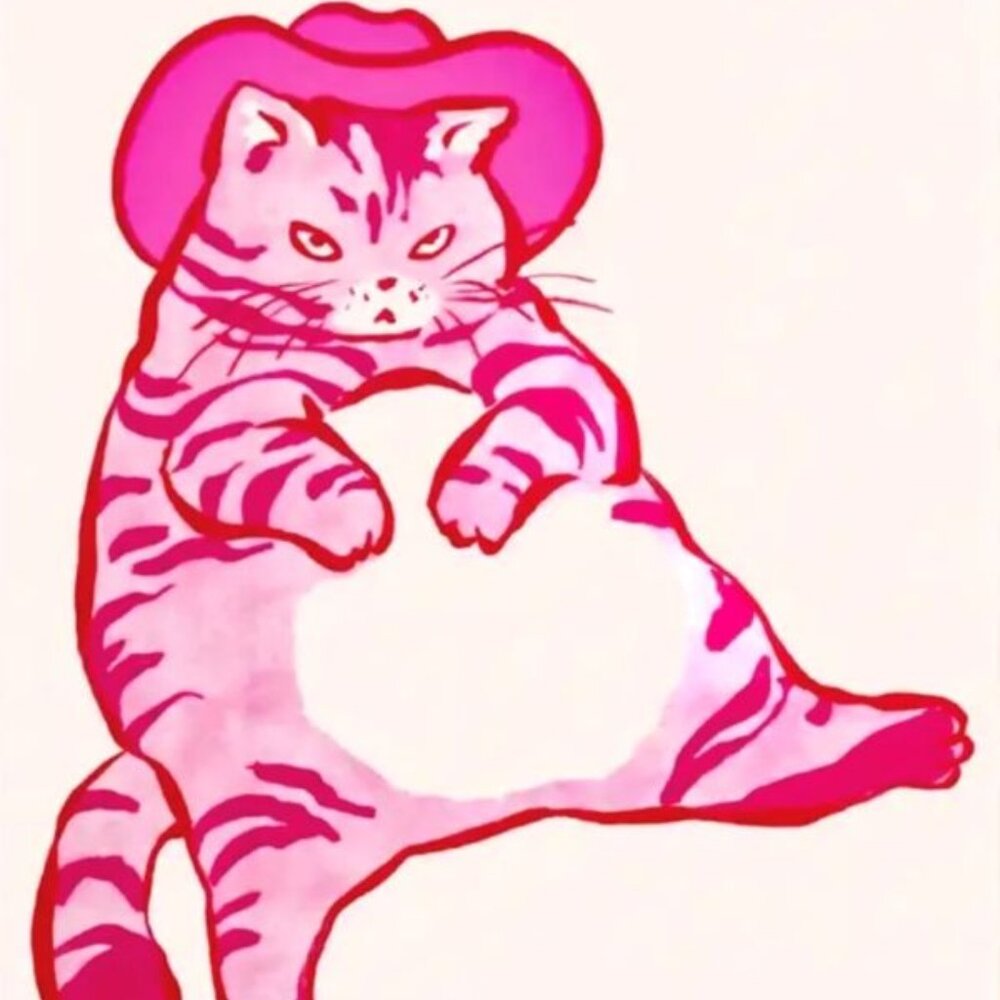 16.5"x12" Anthropomorphic Pink Western Cowboy Fat Cat Canvas Art Print Poster